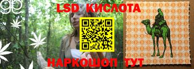 соль ск Камышлов