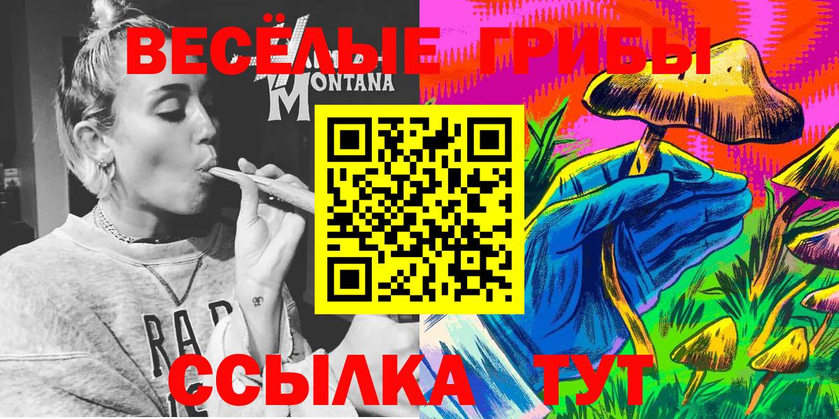 Галлюциногенные грибы GOLDEN TEACHER  Вход с VPN  Лениногорск  Галлюциногенные грибы прущие грибы 