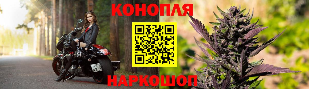 Марихуана конопля  Каннабис Bruce Banner  Вход с VPN  Бошки марихуана гибрид  Бошки марихуана тримм  Лениногорск 